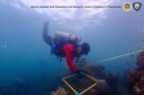 ศูนย์ฯ ทางทะเล 5 เผยผลสำรวจสถานภาพปะการัง​ อช.หมู่เกาะอ่างทอง​ ส่วนใหญ่ปกติ​ พบบางส่วนที่ต้องเฝ้าระวังต่อเนื่อง